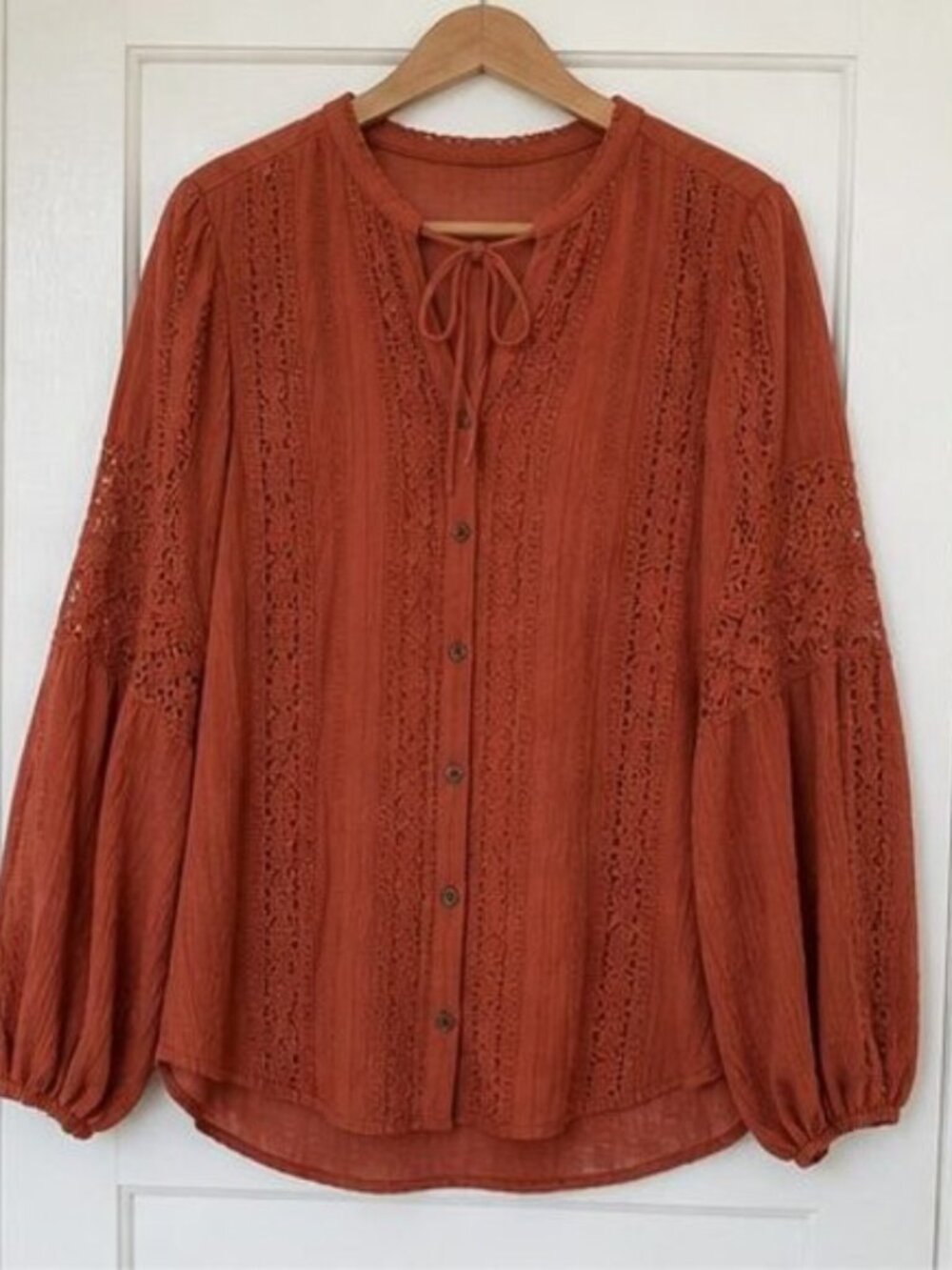Rust Tie Neck Blouse